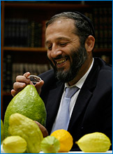 אריה דרעי